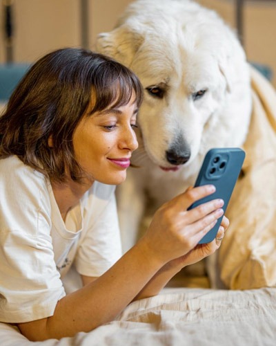 Pet wellness plans and care packages at Highland Hills Vet Hospital