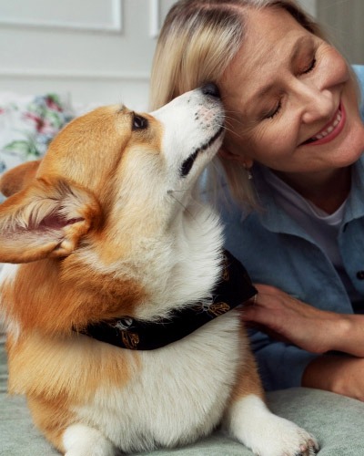 Transparent veterinary pricing for pet services in Highland Utah